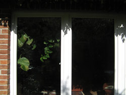 fenster.jpg