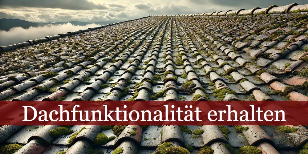 Verschmutztes Dach Symbolbild