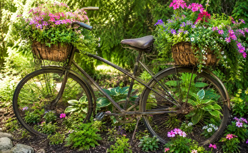 fahrrad bepflanzt