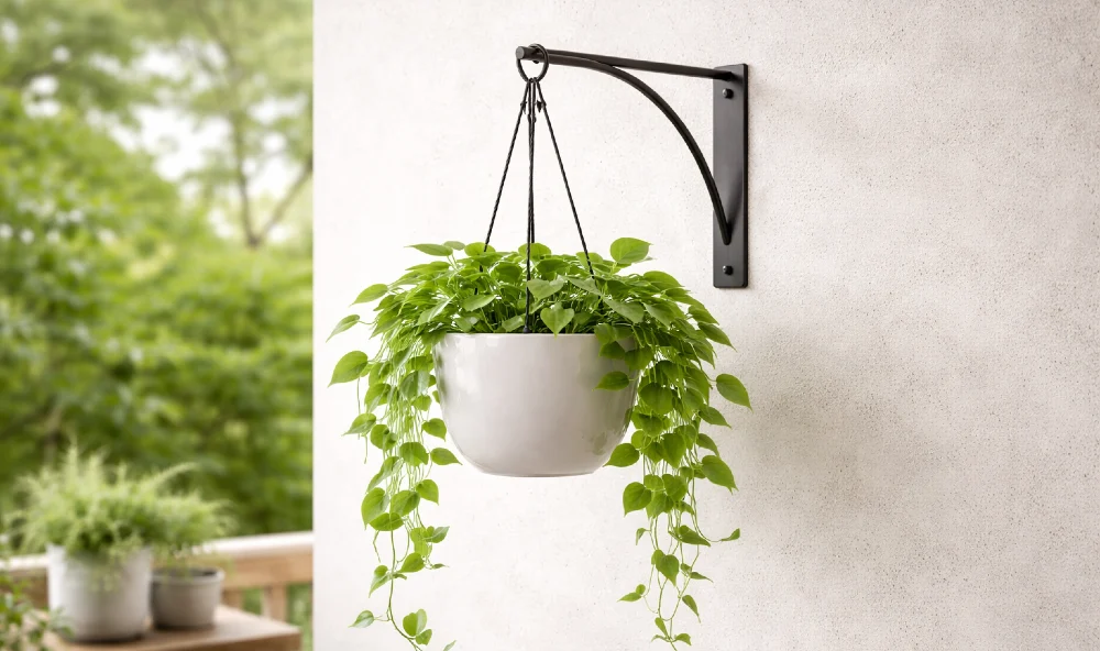 pflanztopf haengt an wand 1000