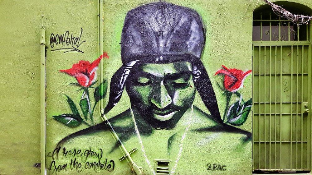 fassade motiv gruen blumen 1000